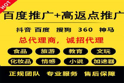 SEM主管实战案例：广告投放策略优化